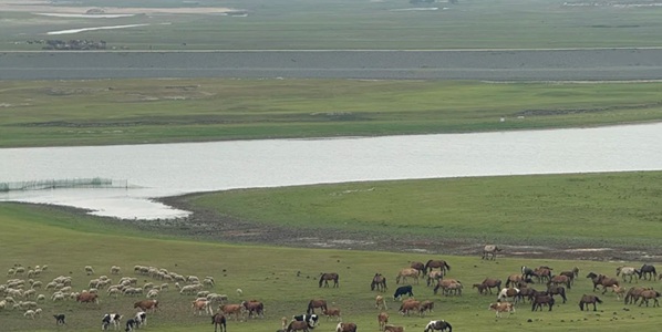 红岗区草原与工业融合景观