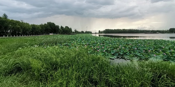 方正县方正湖景观