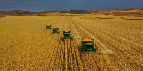 兴安区农业风光