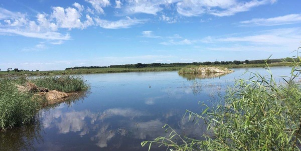 兴山区自然风光
