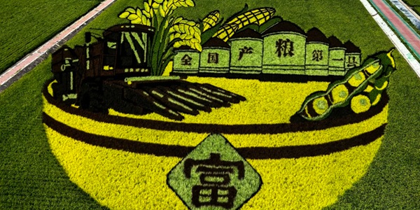 富锦市万亩水稻公园航拍景观