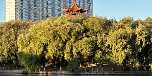 向阳区杏林湖公园景观