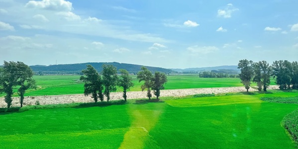 鸡东县生态农业风光