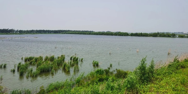 密山市边境生态风光