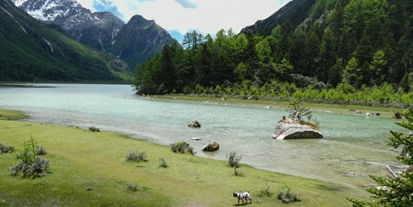 林口县莲花湖景观