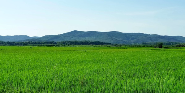 龙江县龙江湖景观
