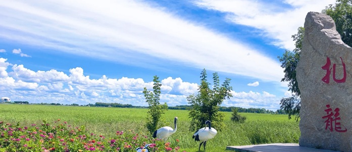 铁锋区扎龙自然保护区景观