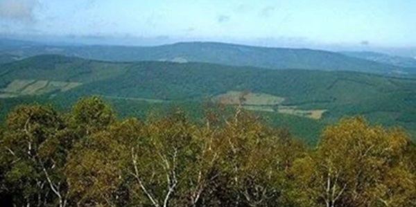 茄子河区自然景观