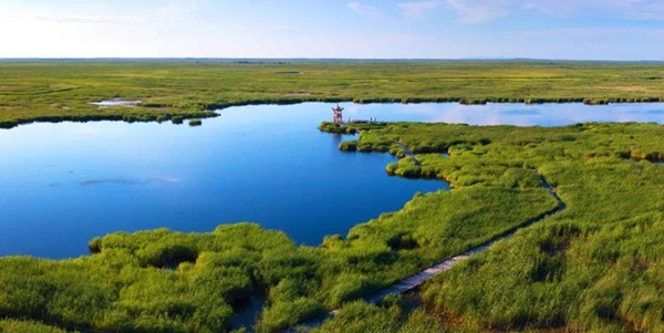 宝清县七星河湿地景观