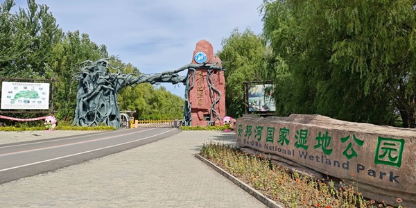 集贤县安邦河湿地景观