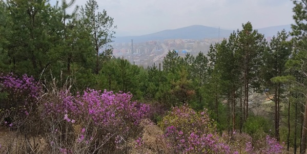 四方台区湿地风光