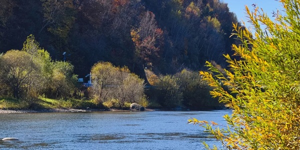 南岔县森林湖泊风光