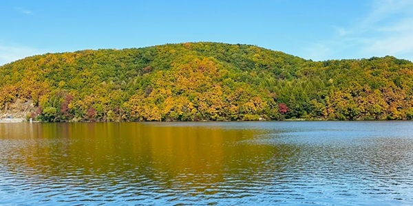 铁力市生态农业风光