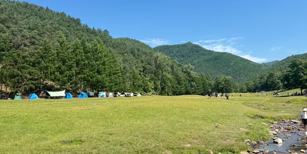 友好区森林康养环境