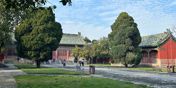 袁林神道及主体建筑全景