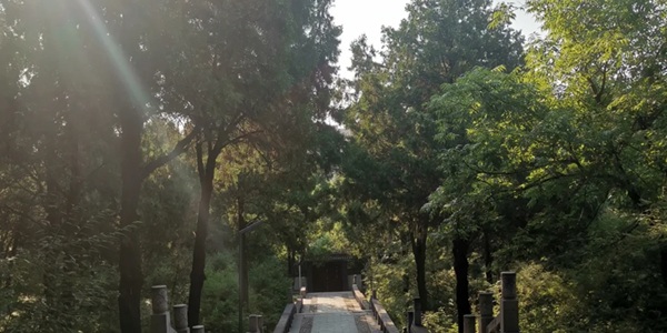 山城区枫岭公园风光