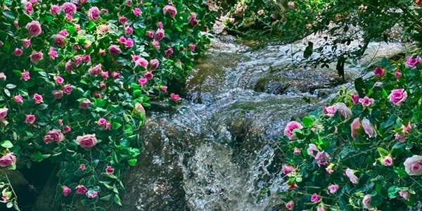 方城县七峰山风光