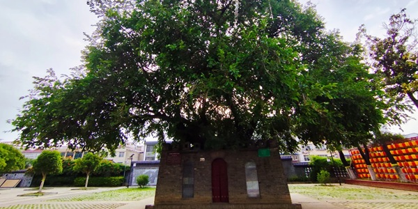 新野县汉桑城景观