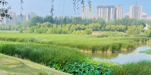 平顶山市卫东区神马生态园