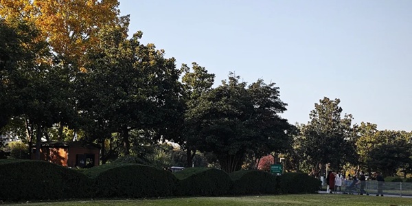 新华区鹰城广场雄鹰雕塑