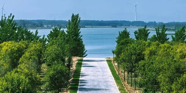 封丘黄河湿地自然风光