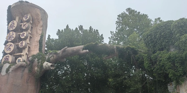 延津黄河故道湿地全景