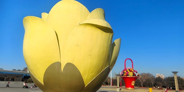 鄢陵花木博览园花海全景