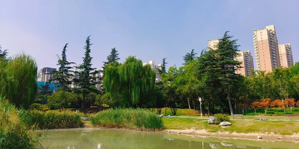 郑州上街区铝城公园全景