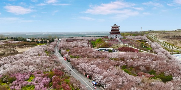郑州荥阳市古柏渡黄河滑沙与汉霸二王城