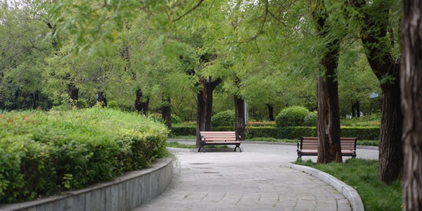 沈丘县中华槐园景区