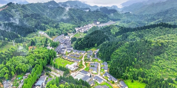 咸丰坪坝营原始森林