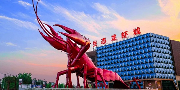 潜江龙虾美食展示