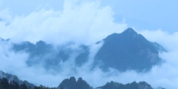 神农架原始森林云海景观