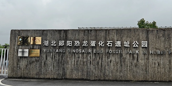 十堰郧阳区青龙山恐龙蛋化石群遗址