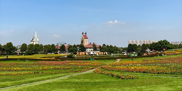 武汉汉南区花博汇花海全景