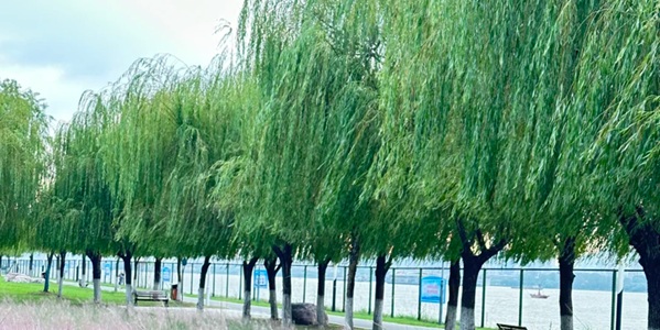 武汉青山区青山江滩景观