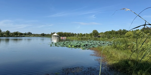 襄阳老河口梨花湖风光