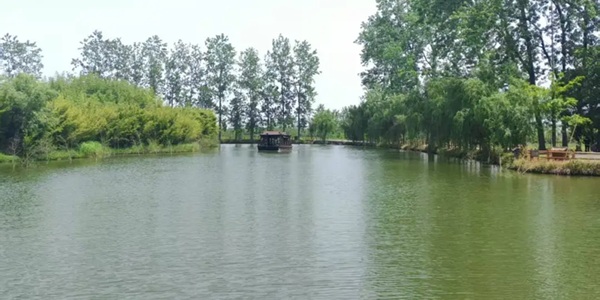 仙桃梦里水乡水上森林景观