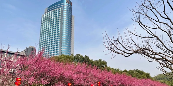 宜昌西陵区夷陵广场全景