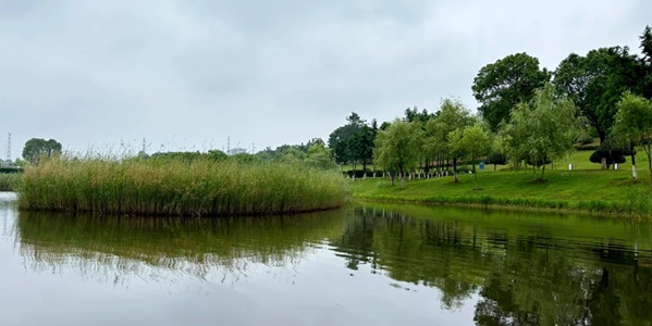 长沙县松雅湖国家湿地公园景观