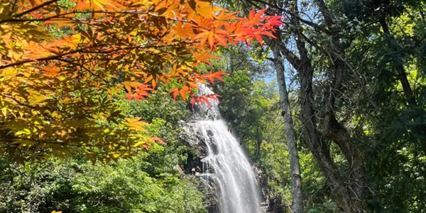 长沙浏阳市大围山红叶景观