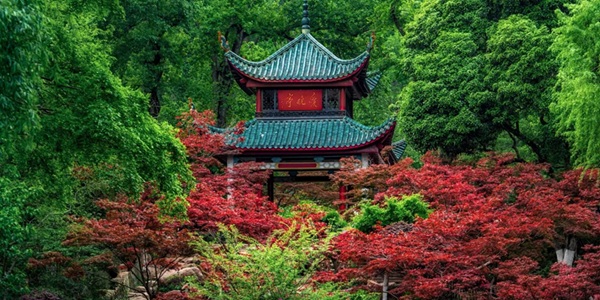 长沙岳麓区岳麓山爱晚亭景观