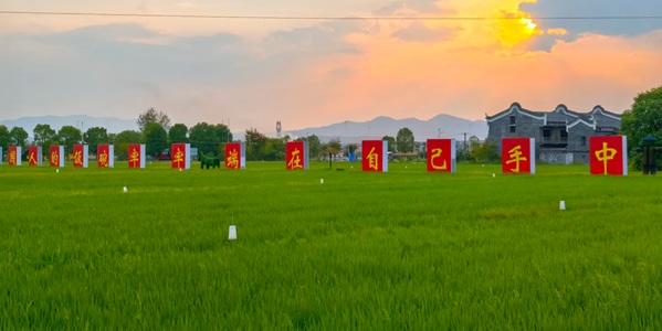 安仁县稻田公园