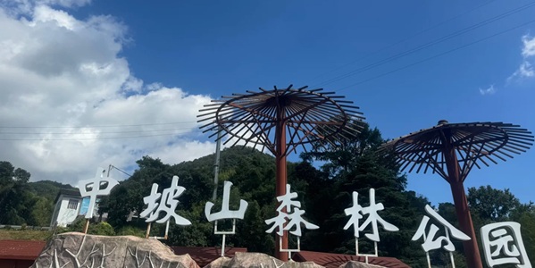 鹤城区中坡国家森林公园景观