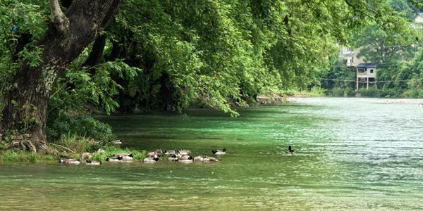 沅陵县借母溪自然保护区景观