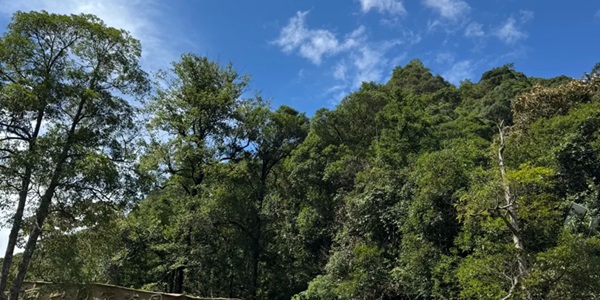 邵阳绥宁县黄桑自然保护区景观