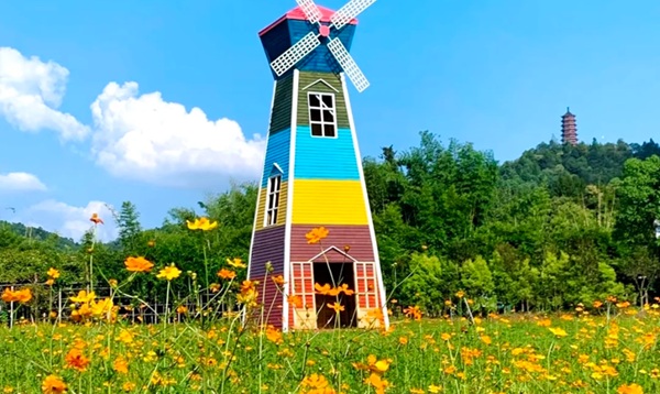 湘潭岳塘区盘龙大观园花海