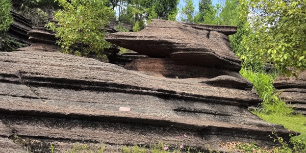 湘西古丈红石林全景