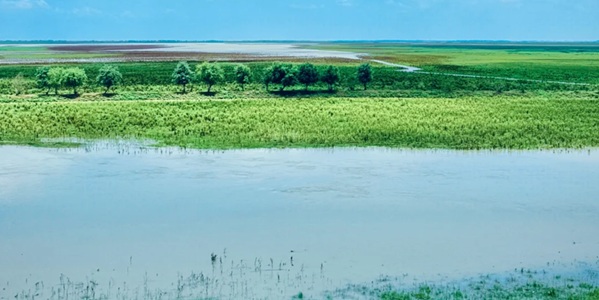 益阳南县南洞庭湿地风光
