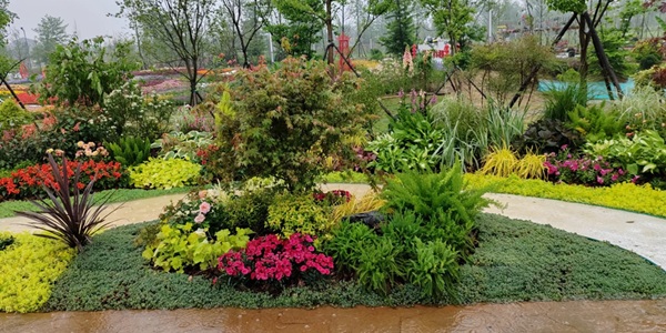 益阳资阳区青龙洲风光